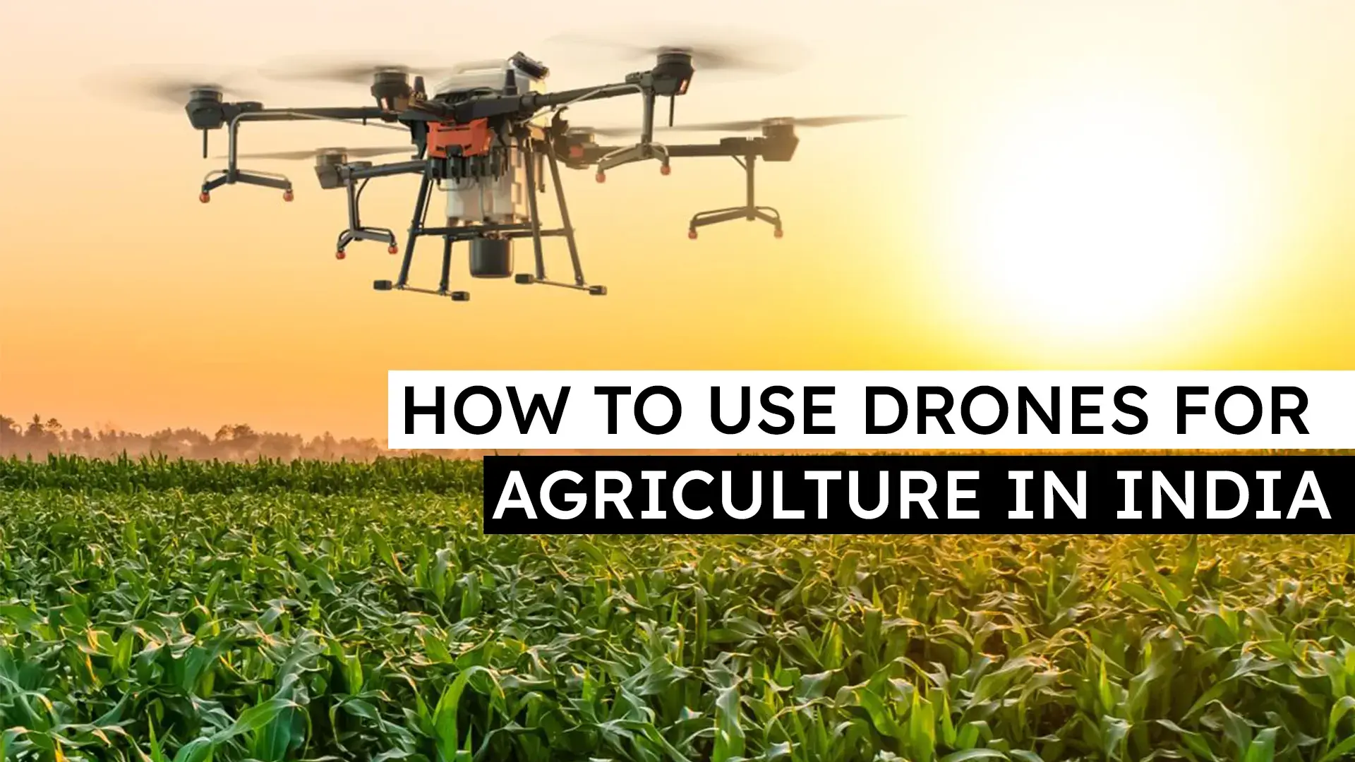 How to Use Drones for Agriculture in India Image